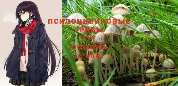 ALPHA PVP Елабуга