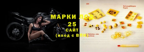 скорость Ельня