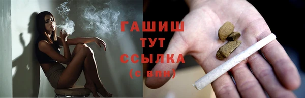 скорость Ельня