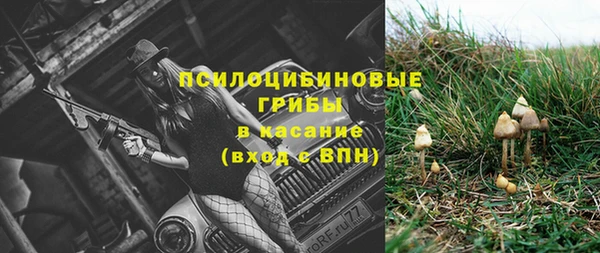 скорость Ельня