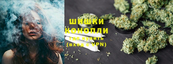 скорость Ельня