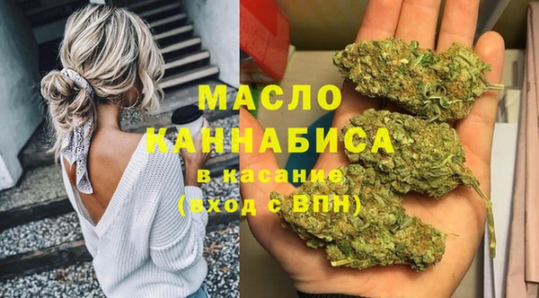 скорость Ельня