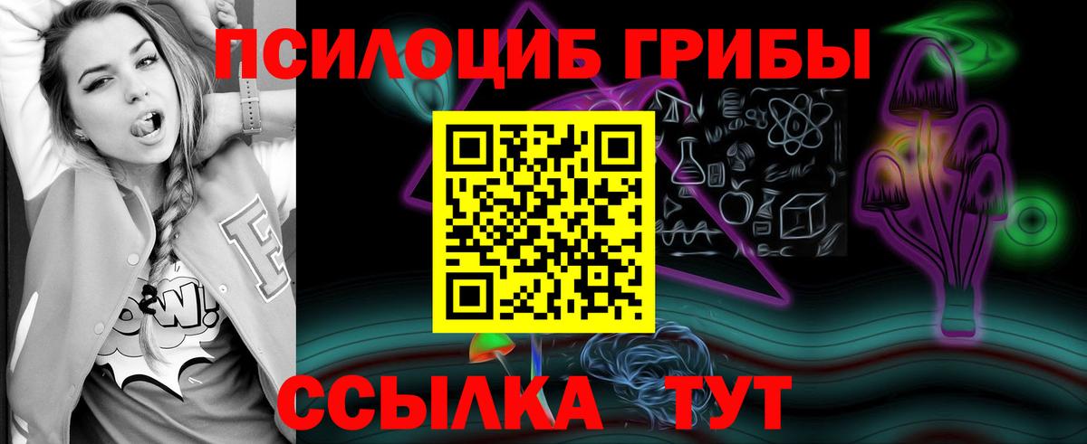 Псилоцибиновые грибы прущие грибы  Вход с VPN  Знаменск 
