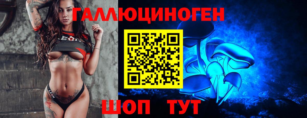 Псилоцибиновые грибы Psilocybine cubensis Знаменск